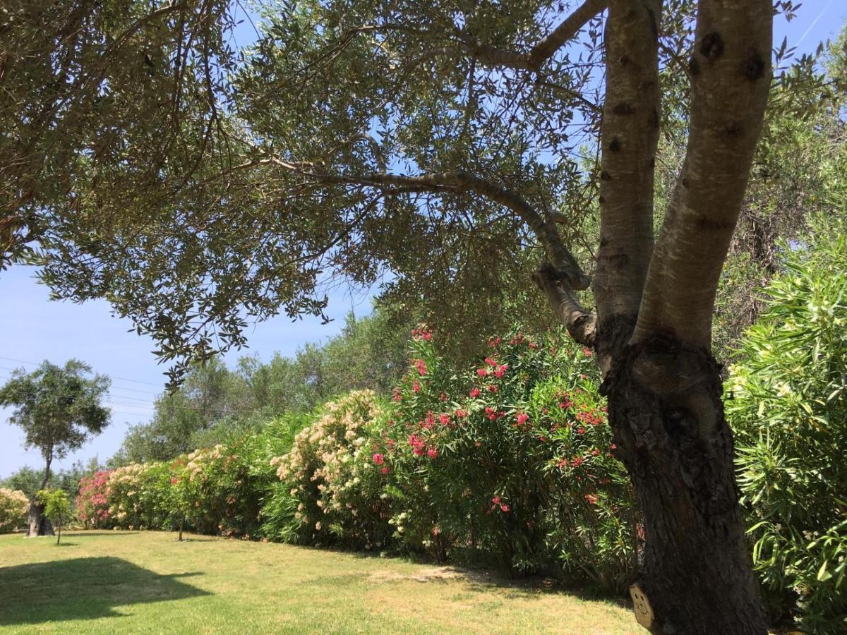 Villa Gecko, Arillas Kavvadades Esterno foto
