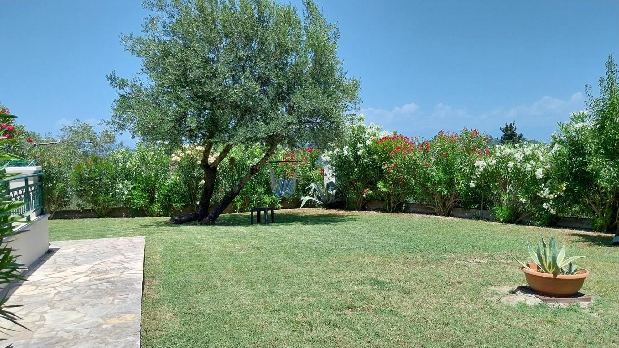 Villa Gecko, Arillas Kavvadades Esterno foto