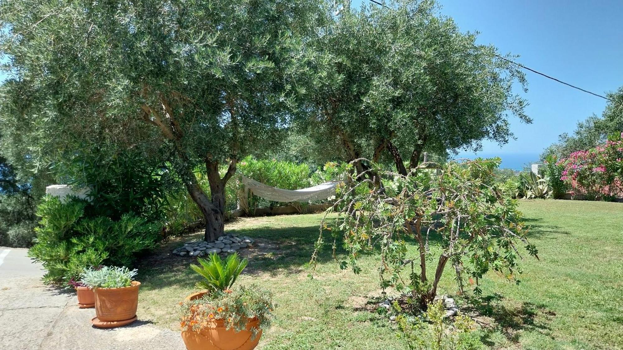 Villa Gecko, Arillas Kavvadades Esterno foto